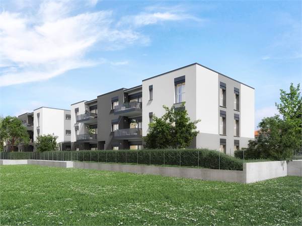 ULTIMA DISPONIBILITA